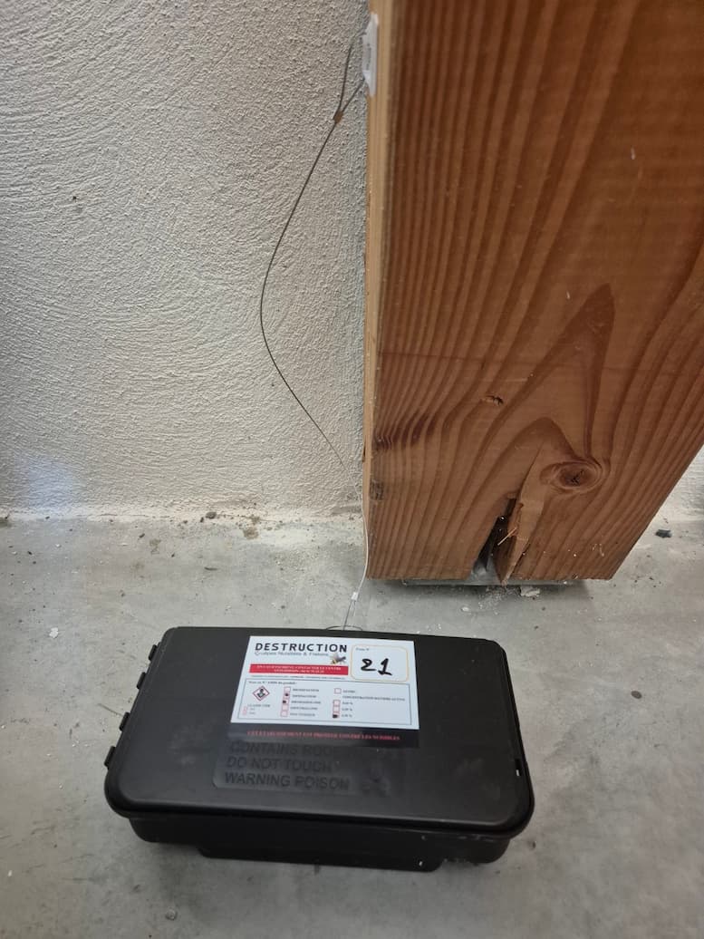 poste de dératisation installé dans une cave viticole à Sarrians dans le Vaucluse