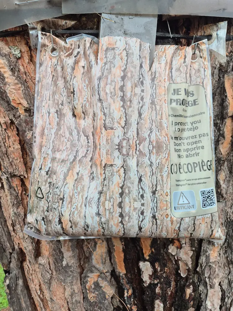 eco piege contre les chenilles processionnaires installé sur un pin dans le vaucluse